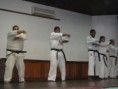 /album/galeria-de-fotos/foto-karate-70-jpg/